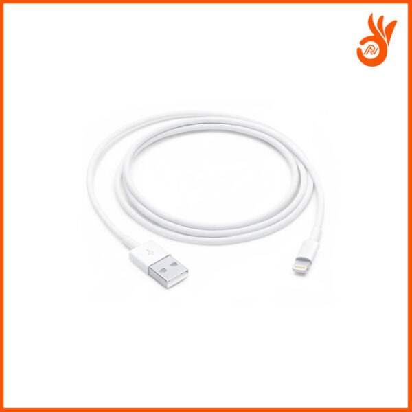 Apple Lightning to USB Cable - Image 3