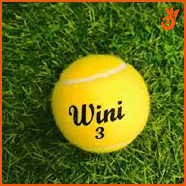 Wini Cricket Ball - 1 Tin (3 Balls) for Professional Play - Image 2