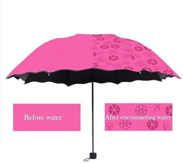 Magic Umbrella - Image 2